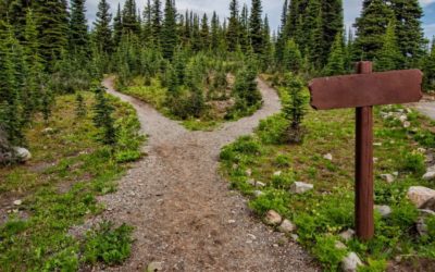 Find great CBD safely